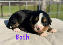 Load image into Gallery viewer, Beth
