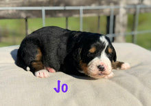 Load image into Gallery viewer, Jo
